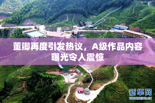 董卿再度引发热议，A级作品内容曝光令人震惊