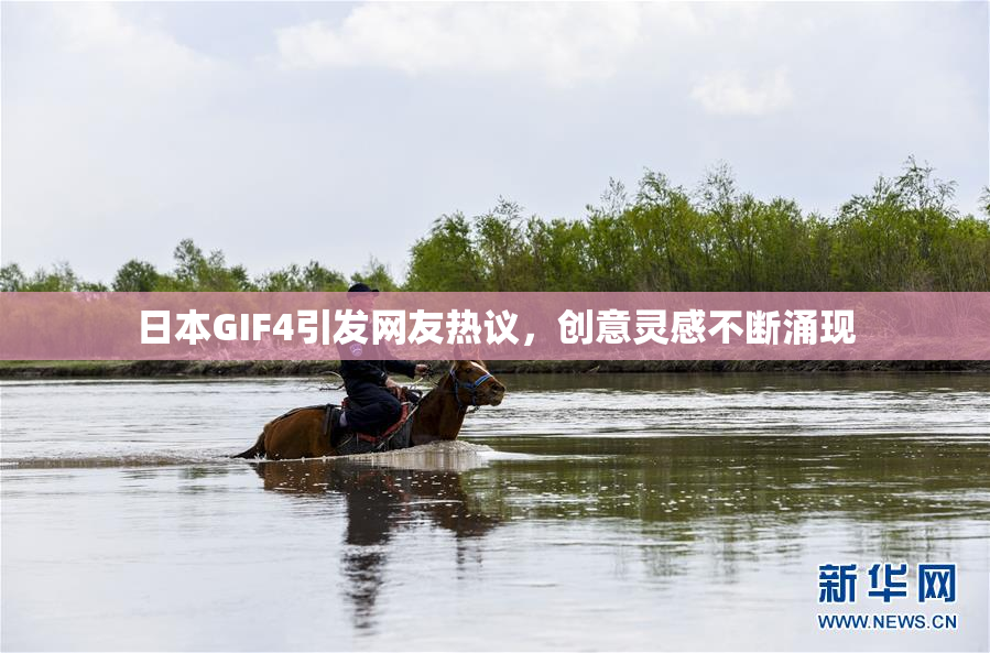 日本GIF4引发网友热议，创意灵感不断涌现