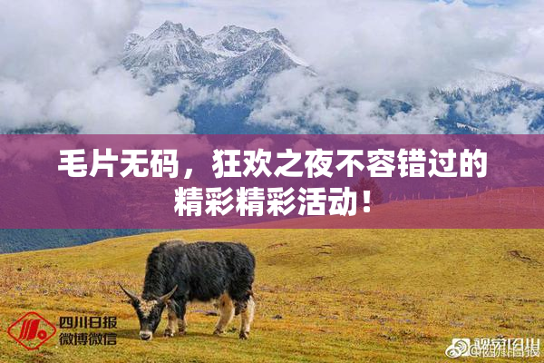 毛片无码，狂欢之夜不容错过的精彩精彩活动！