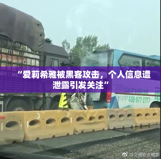 “爱莉希雅被黑客攻击，个人信息遭泄露引发关注”