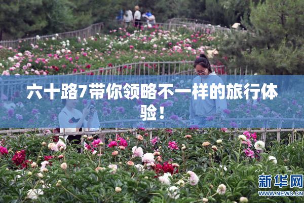 六十路7带你领略不一样的旅行体验！