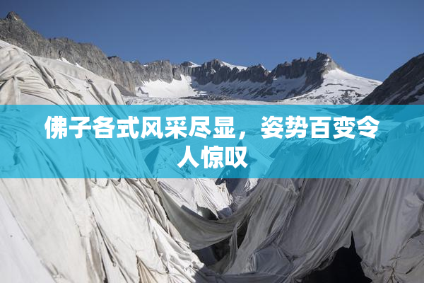 佛子各式风采尽显，姿势百变令人惊叹