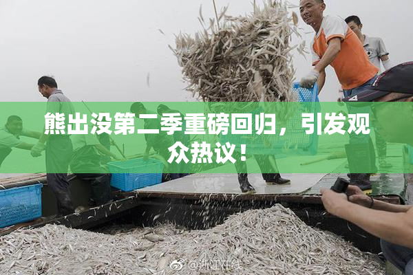 熊出没第二季重磅回归，引发观众热议！