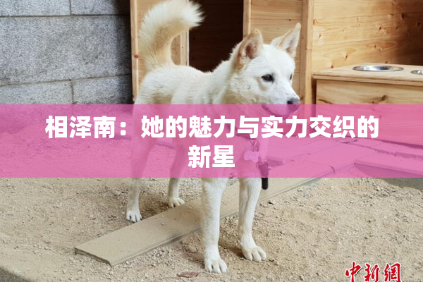 相泽南：她的魅力与实力交织的新星