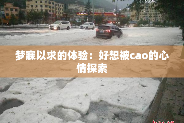 梦寐以求的体验：好想被cao的心情探索