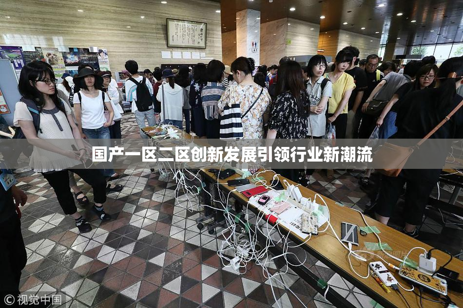 国产一区二区创新发展引领行业新潮流