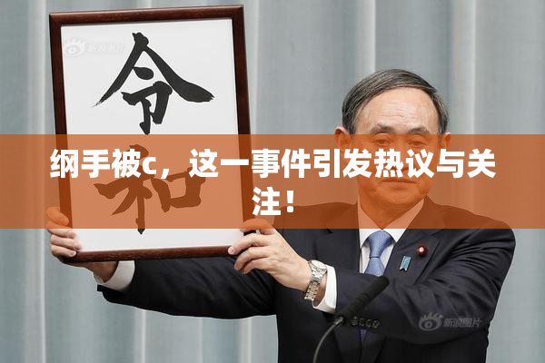 纲手被c，这一事件引发热议与关注！