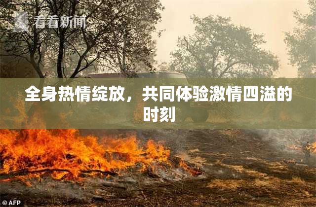 全身热情绽放，共同体验激情四溢的时刻