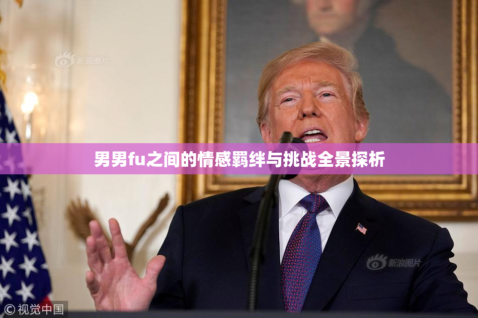 男男fu之间的情感羁绊与挑战全景探析