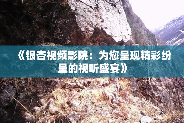 《银杏视频影院：为您呈现精彩纷呈的视听盛宴》