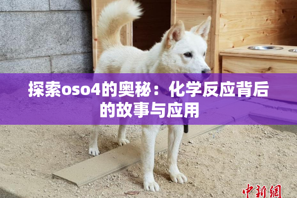 探索oso4的奥秘：化学反应背后的故事与应用