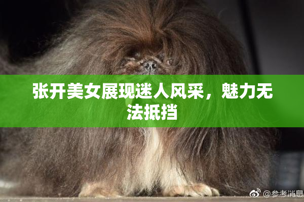 张开美女展现迷人风采，魅力无法抵挡