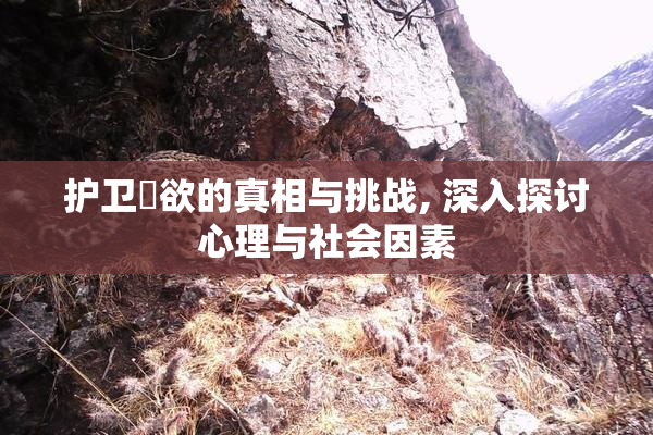护卫婬欲的真相与挑战, 深入探讨心理与社会因素