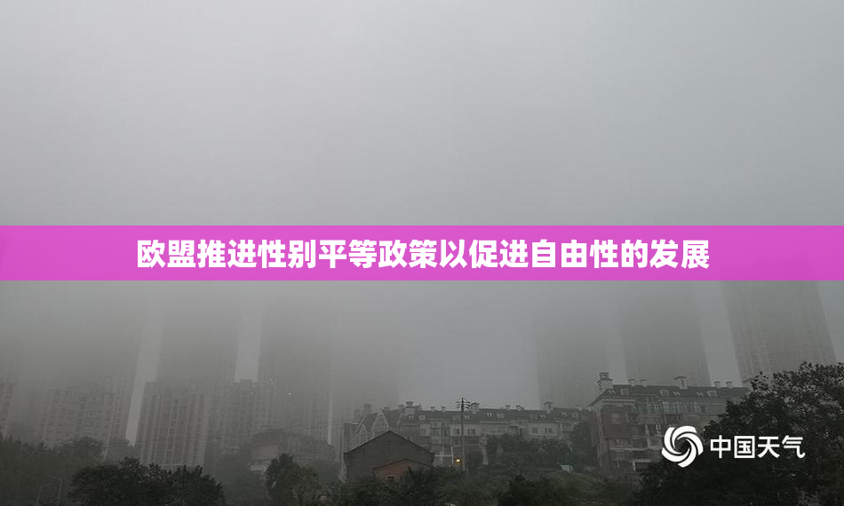 欧盟推进性别平等政策以促进自由性的发展
