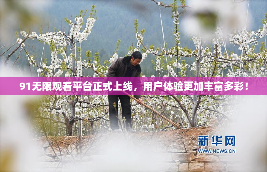 91无限观看平台正式上线，用户体验更加丰富多彩！