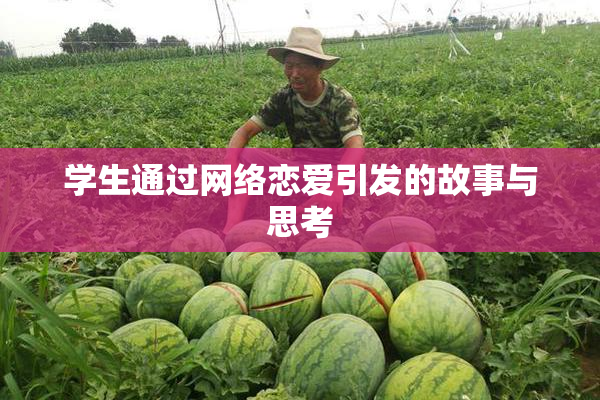 学生通过网络恋爱引发的故事与思考