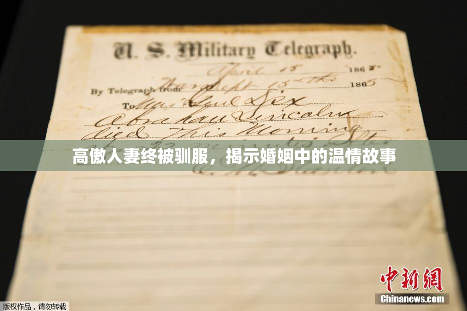 高傲人妻终被驯服，揭示婚姻中的温情故事