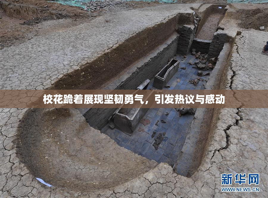 校花跪着展现坚韧勇气，引发热议与感动