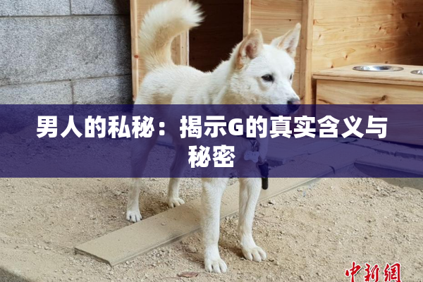 男人的私秘：揭示G的真实含义与秘密