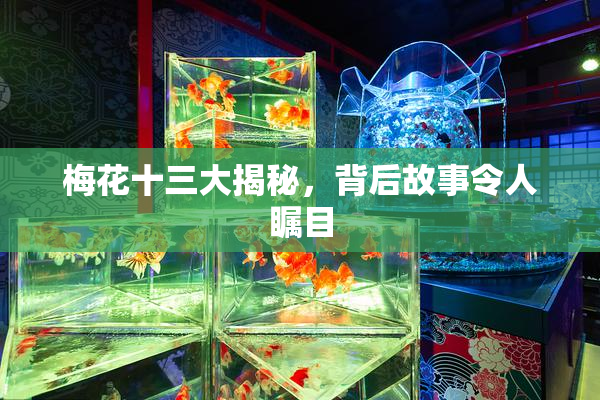 梅花十三大揭秘，背后故事令人瞩目