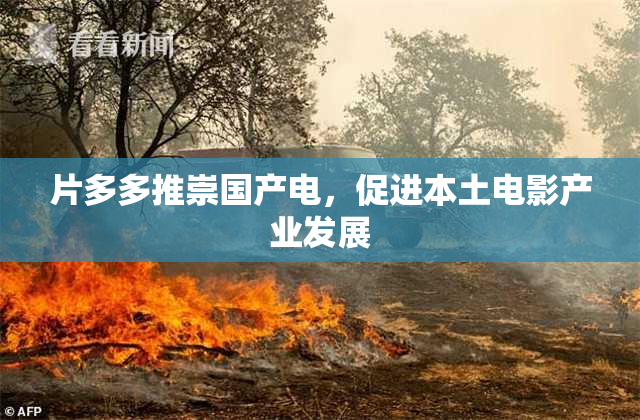 片多多推崇国产电，促进本土电影产业发展