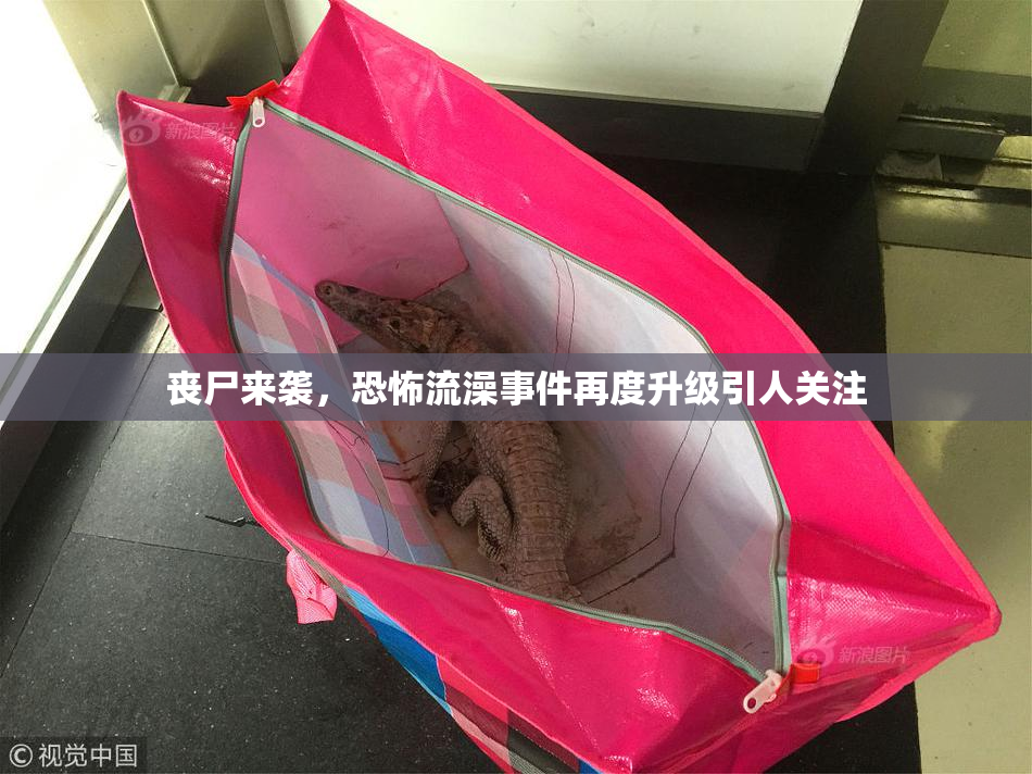 丧尸来袭，恐怖流澡事件再度升级引人关注