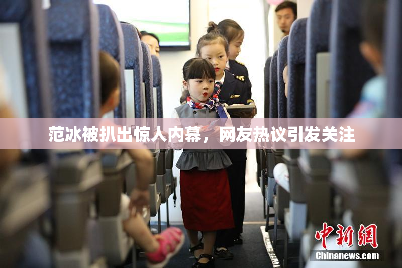 范冰被扒出惊人内幕，网友热议引发关注