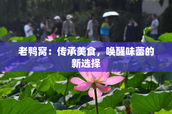 老鸭窝：传承美食，唤醒味蕾的新选择