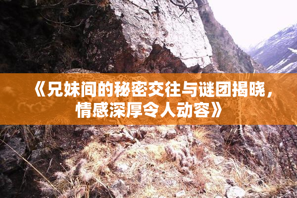《兄妹间的秘密交往与谜团揭晓，情感深厚令人动容》