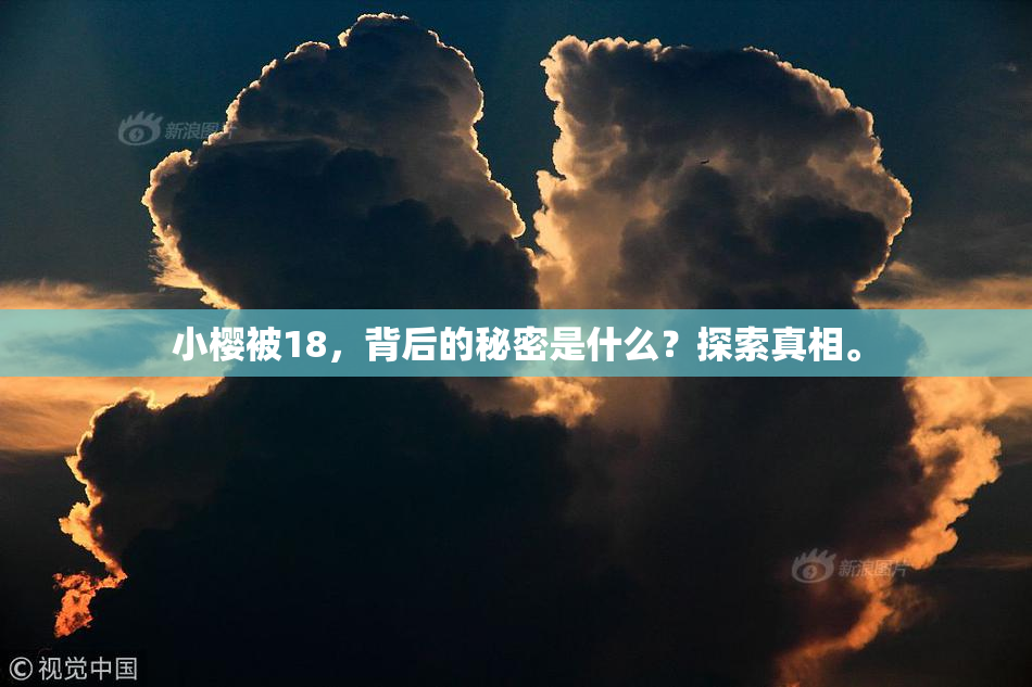 小樱被18，背后的秘密是什么？探索真相。