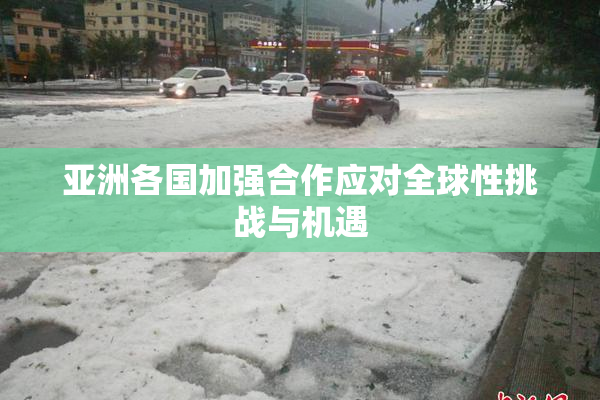 亚洲各国加强合作应对全球性挑战与机遇