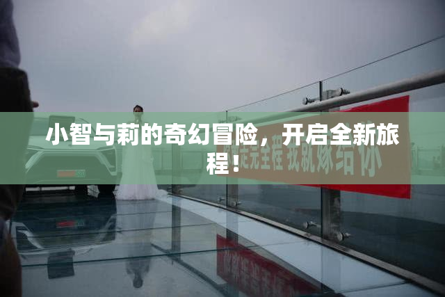 小智与莉的奇幻冒险，开启全新旅程！