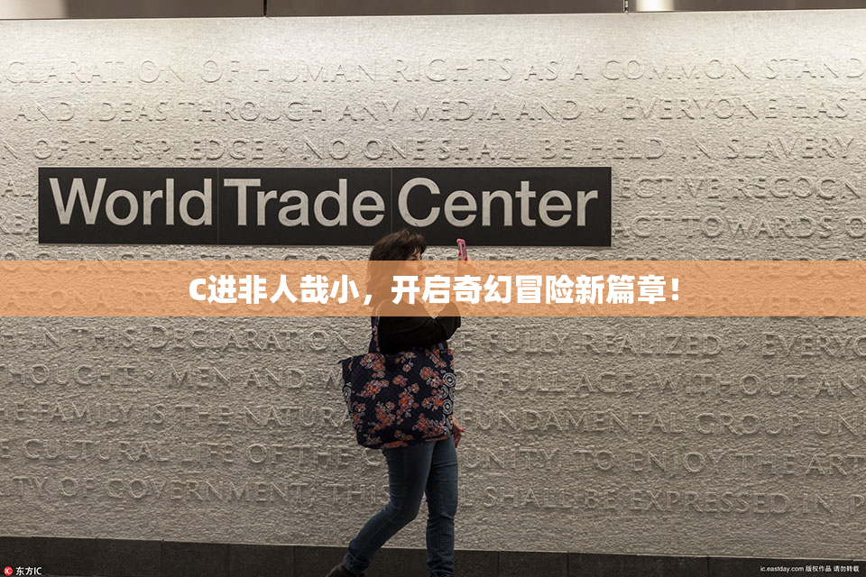 C进非人哉小，开启奇幻冒险新篇章！
