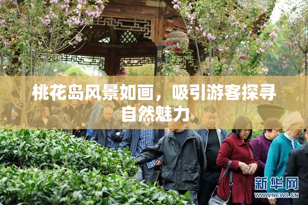 桃花岛风景如画，吸引游客探寻自然魅力