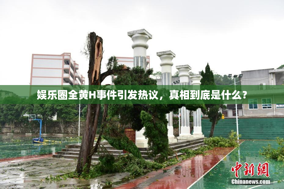 娱乐圈全黄H事件引发热议，真相到底是什么？