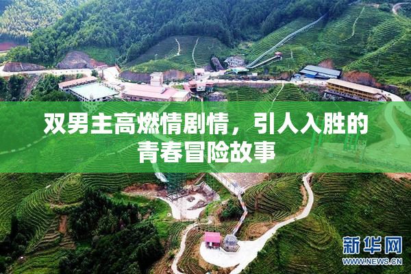 双男主高燃情剧情，引人入胜的青春冒险故事