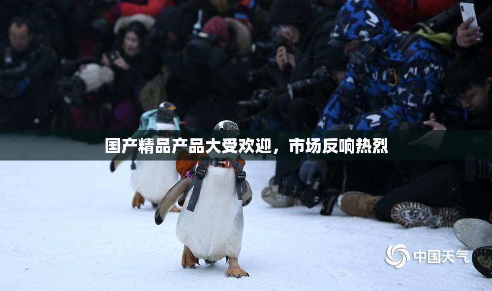 国产精品产品大受欢迎，市场反响热烈