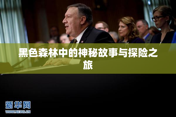 黑色森林中的神秘故事与探险之旅