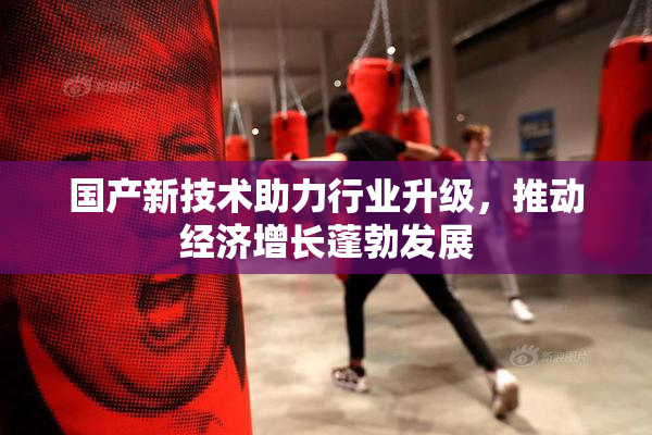 国产新技术助力行业升级，推动经济增长蓬勃发展