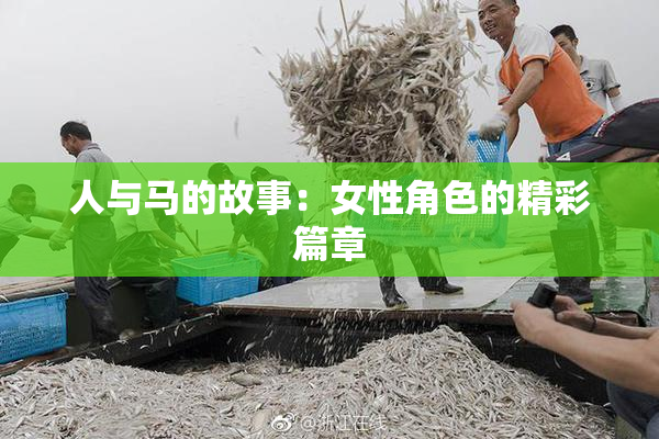 人与马的故事：女性角色的精彩篇章