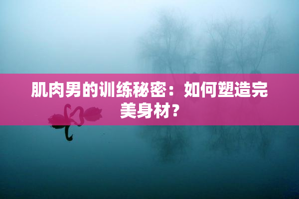 肌肉男的训练秘密：如何塑造完美身材？