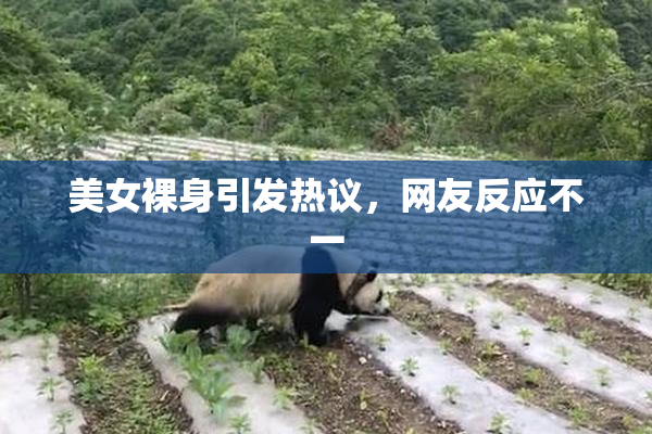 美女裸身引发热议，网友反应不一