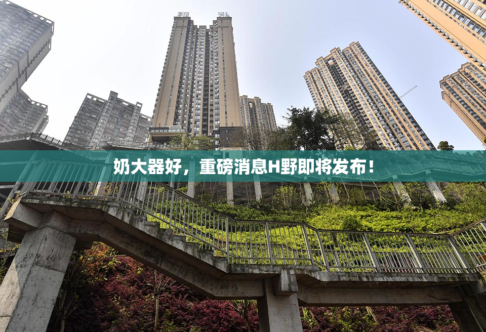 奶大器好，重磅消息H野即将发布！