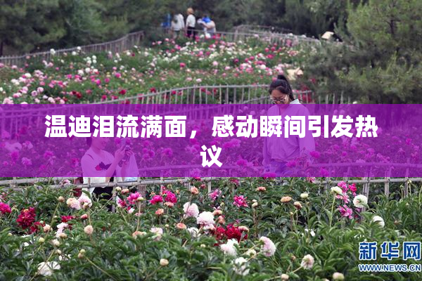 温迪泪流满面，感动瞬间引发热议