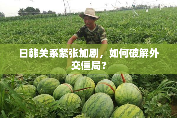 日韩关系紧张加剧，如何破解外交僵局？
