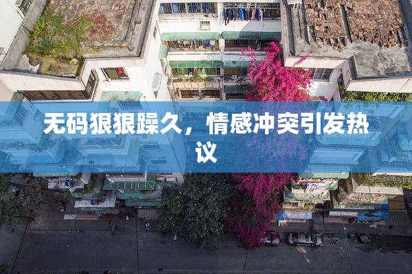 无码狠狠躁久，情感冲突引发热议