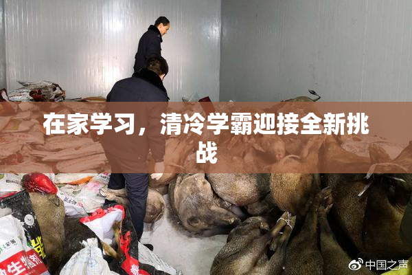 在家学习，清冷学霸迎接全新挑战
