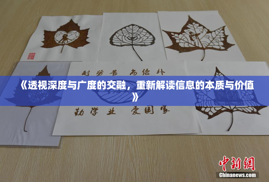 《透视深度与广度的交融，重新解读信息的本质与价值》