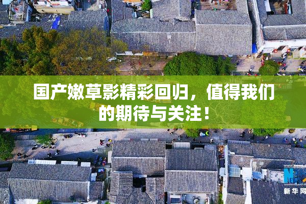 国产嫩草影精彩回归，值得我们的期待与关注！