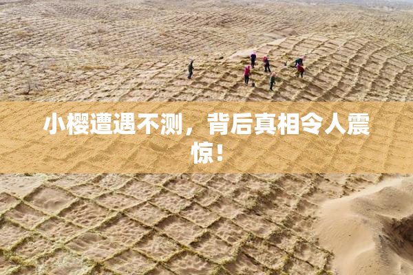 小樱遭遇不测，背后真相令人震惊！
